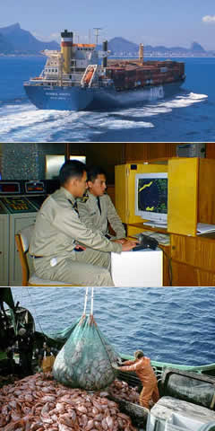 Bienvenida e Historia